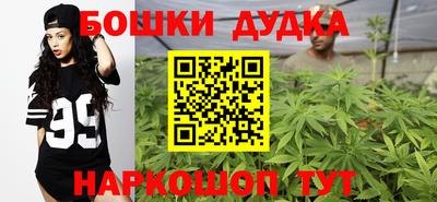 ешки Бийск