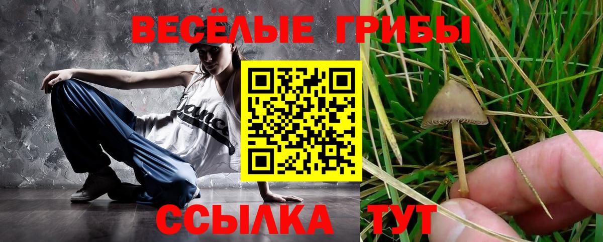 Галлюциногенные грибы Magic Shrooms Казань