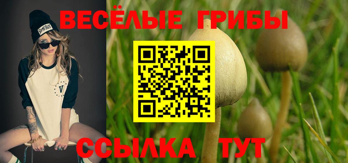 Казань  Псилоцибиновые грибы Cubensis  Вход с VPN 