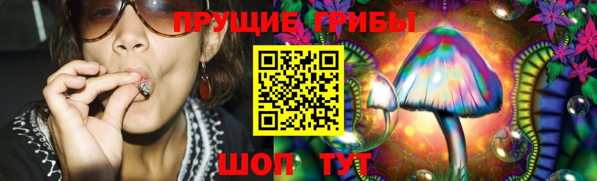 ГАШ Казань